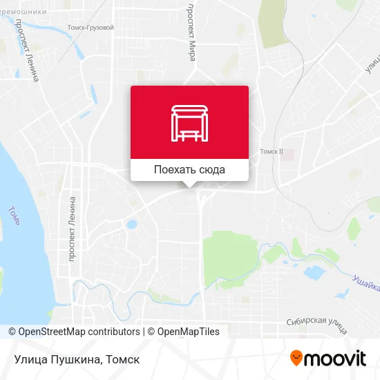 Карта Улица Пушкина