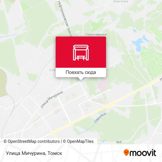 Карта Улица Мичурина