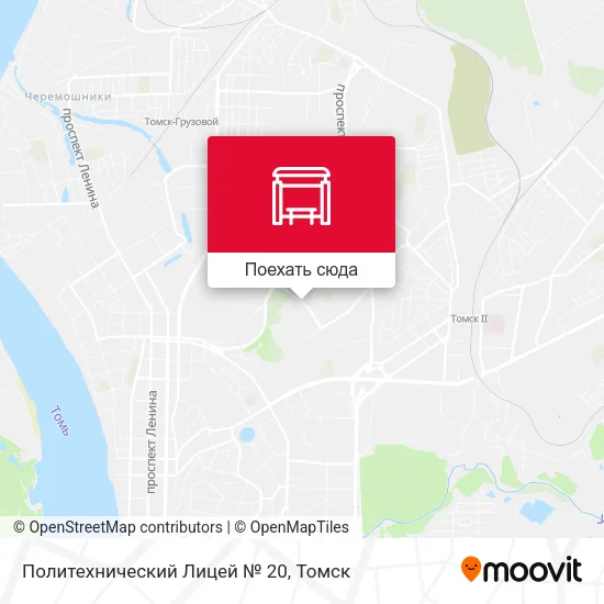 Карта Политехнический Лицей  № 20