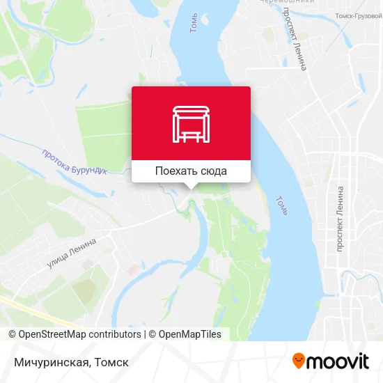 Карта Мичуринская
