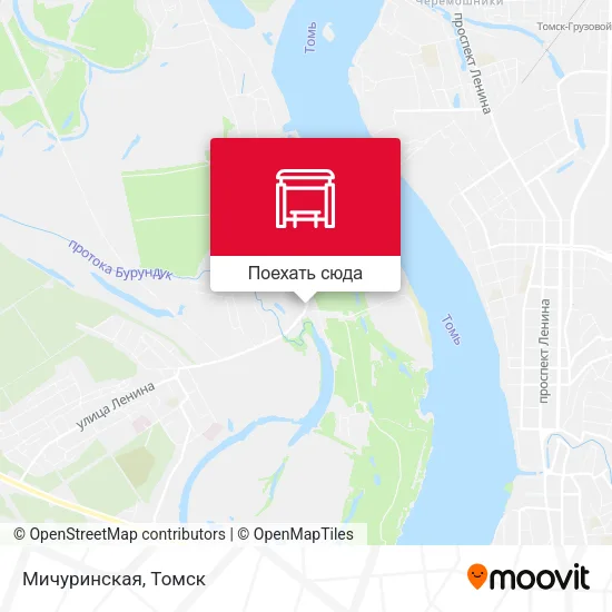 Карта Мичуринская