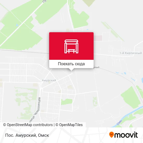 Карта Пос. Амурский