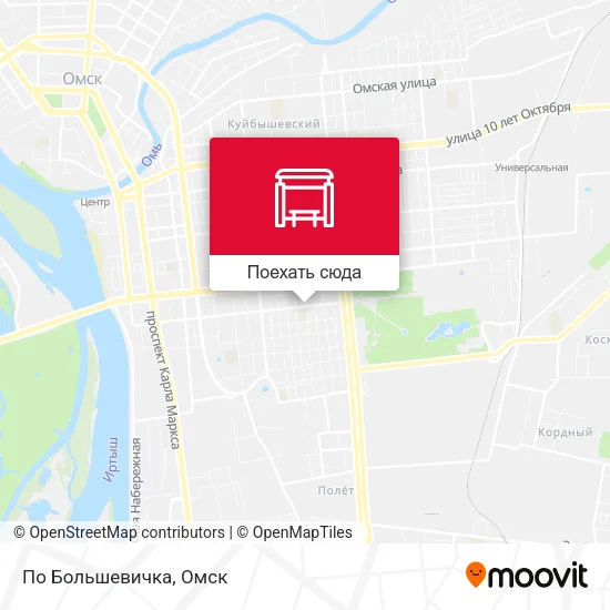 Карта По Большевичка