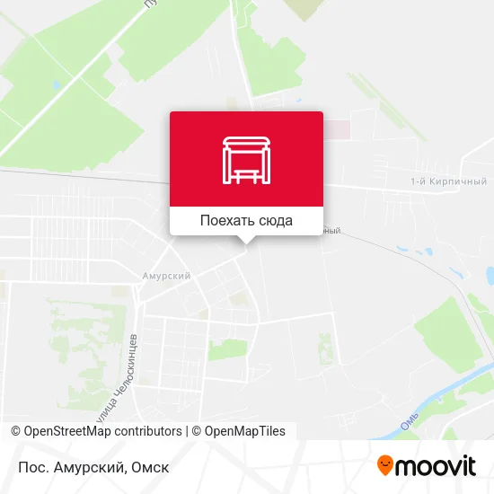 Карта Пос. Амурский