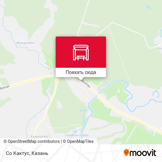 Карта Со Кактус