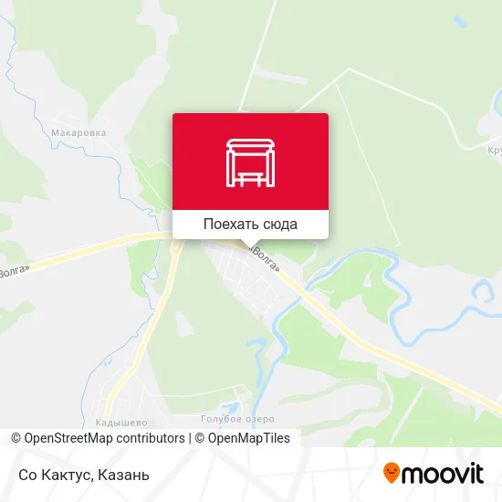 Карта Со Кактус