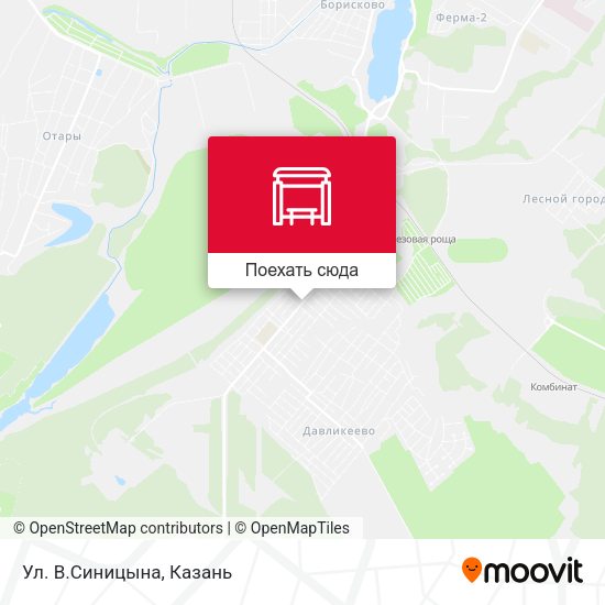 Карта Ул. В.Синицына
