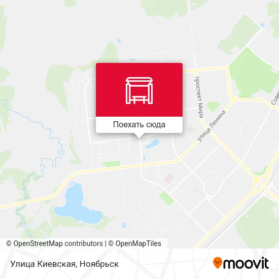 Карта Улица Киевская