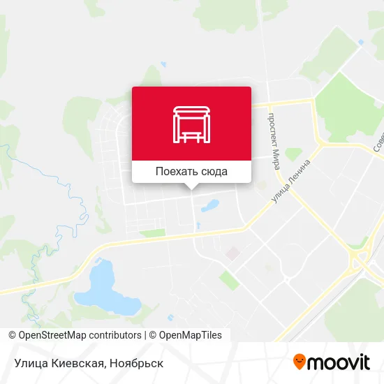 Карта Улица Киевская