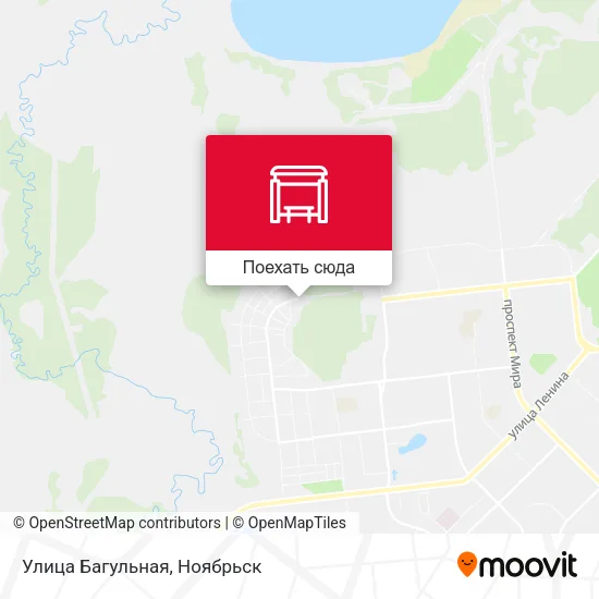 Карта Улица Багульная