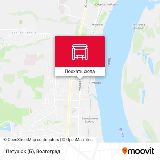 Карта Петушок (Б)