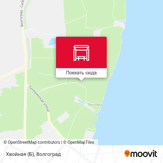 Карта Хвойная (Б)