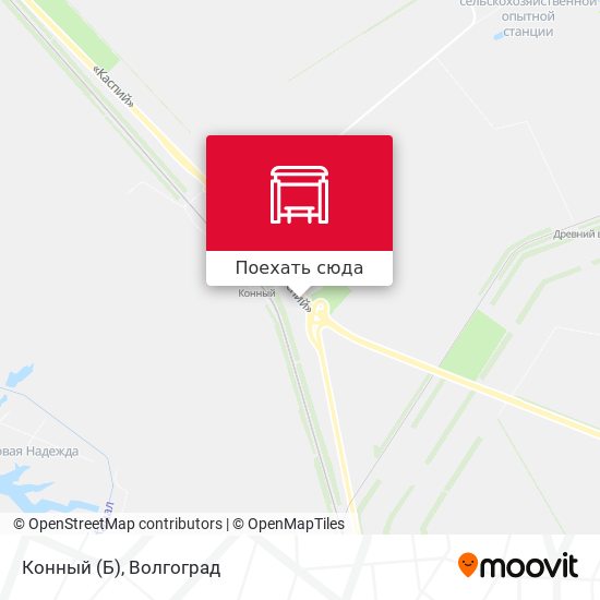 Карта Конный (Б)