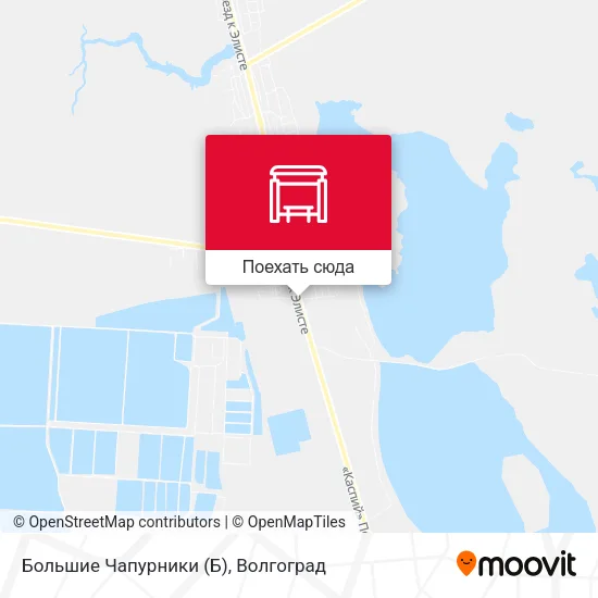 Карта Большие Чапурники