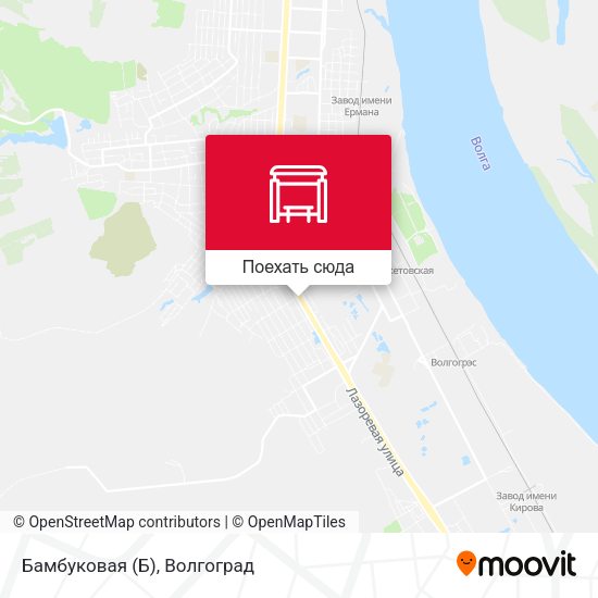 Карта Бамбуковая