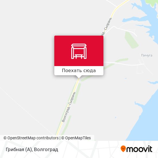 Карта Грибная (А)