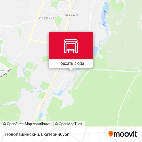 Карта Новопашинский