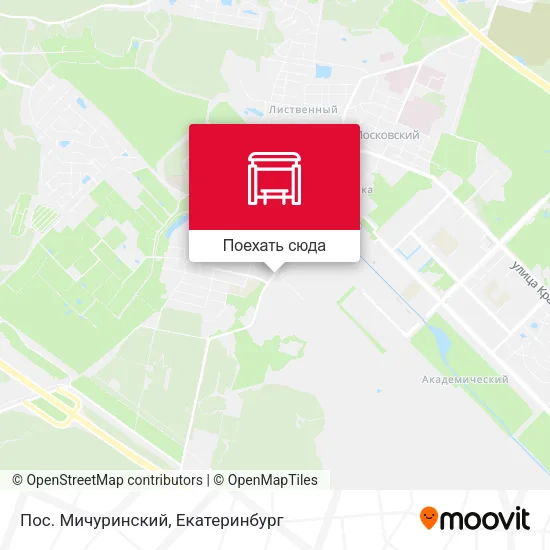 Карта Пос. Мичуринский