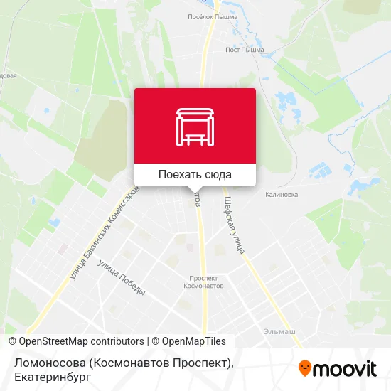 Карта Ломоносова (Космонавтов Проспект)