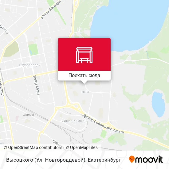 Карта Высоцкого (Ул. Новгородцевой)