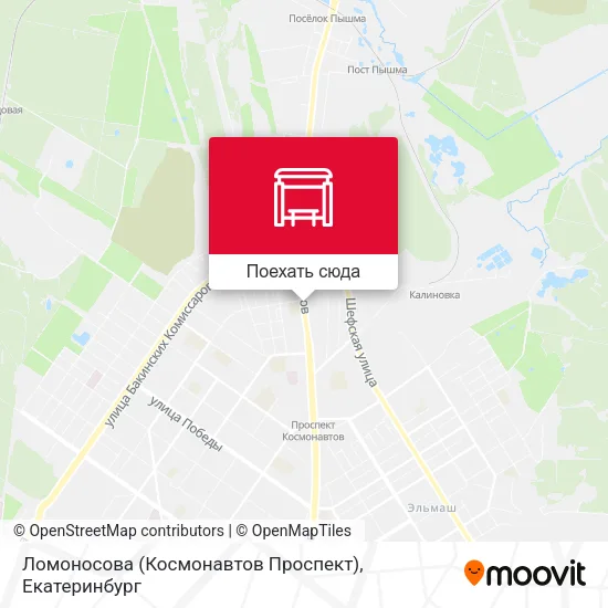 Карта Ломоносова (Космонавтов Проспект)