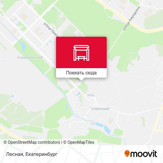 Карта Лесная