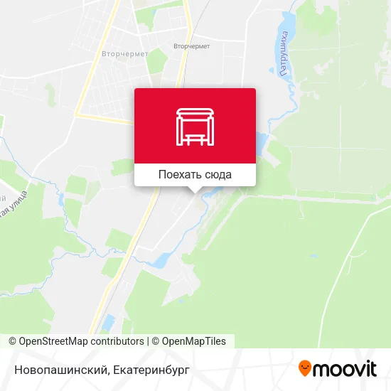 Карта Новопашинский
