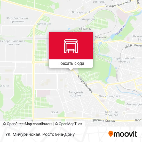Карта Ул. Мичуринская