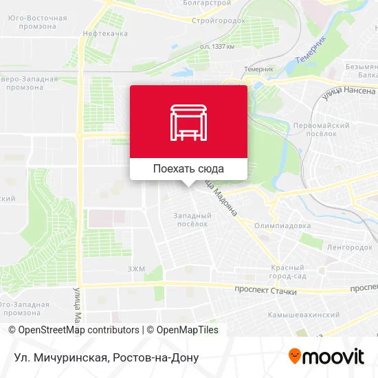 Карта Ул. Мичуринская