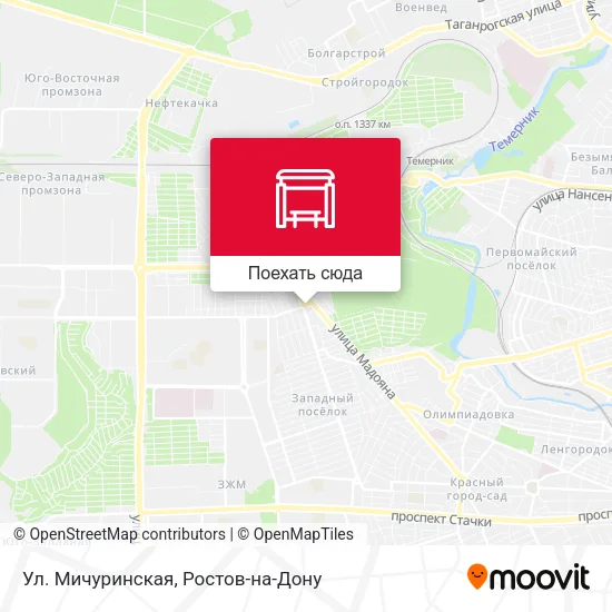 Карта Ул. Мичуринская