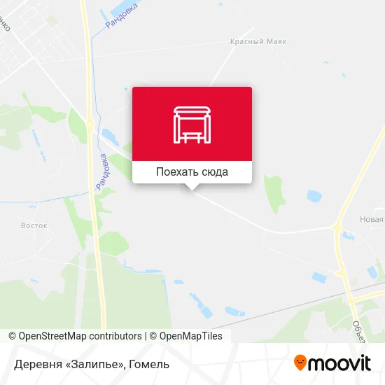 Карта Деревня «Залипье»