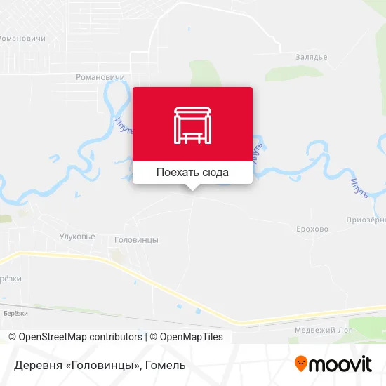 Карта Деревня «Головинцы»
