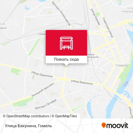 Карта Улица Бакунина
