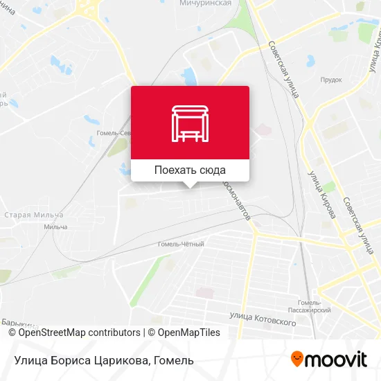 Карта Улица Бориса Царикова