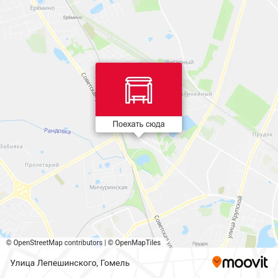 Карта Улица Лепешинского