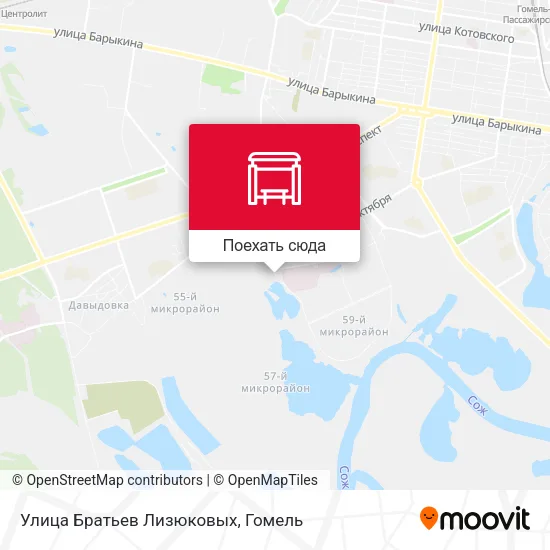 Карта Улица Братьев Лизюковых