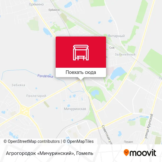 Карта Агрогородок «Мичуринский»