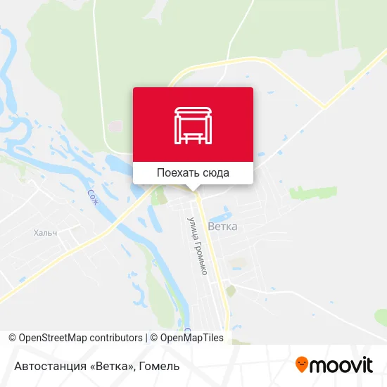 Карта Автостанция «Ветка»