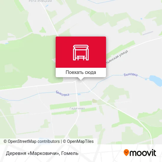 Карта Деревня «Марковичи»
