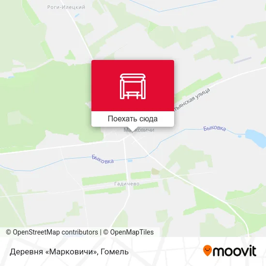 Карта Деревня «Марковичи»