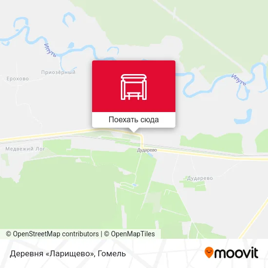 Карта Деревня «Ларищево»