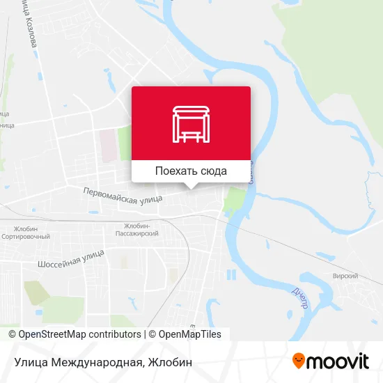 Карта Улица Международная