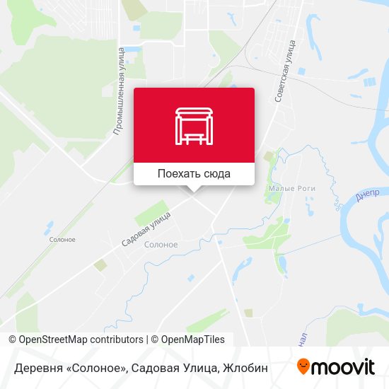 Карта Деревня «Солоное», Садовая Улица