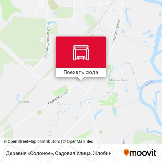 Карта Деревня «Солоное», Садовая Улица