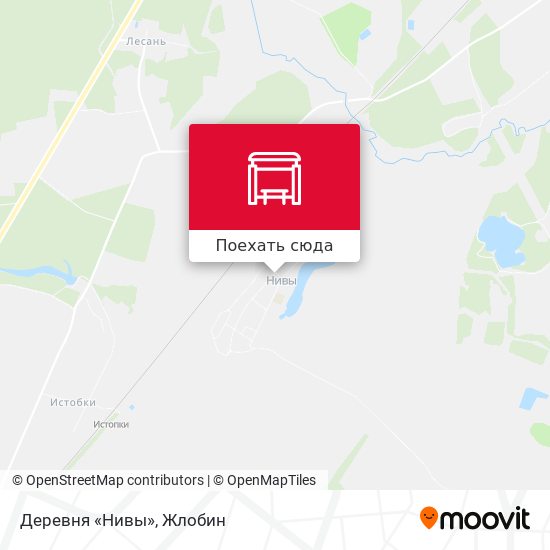 Карта Деревня «Нивы»
