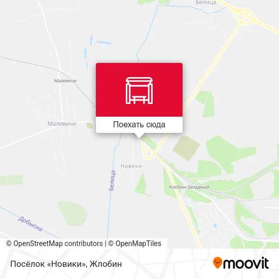 Карта Посёлок «Новики»
