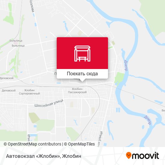 Карта Автовокзал «Жлобин»