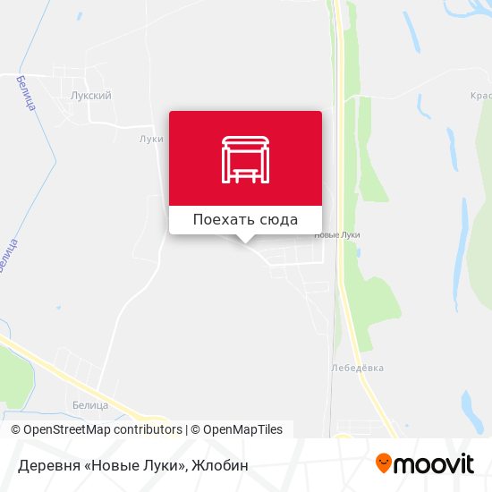 Карта Деревня «Новые Луки»