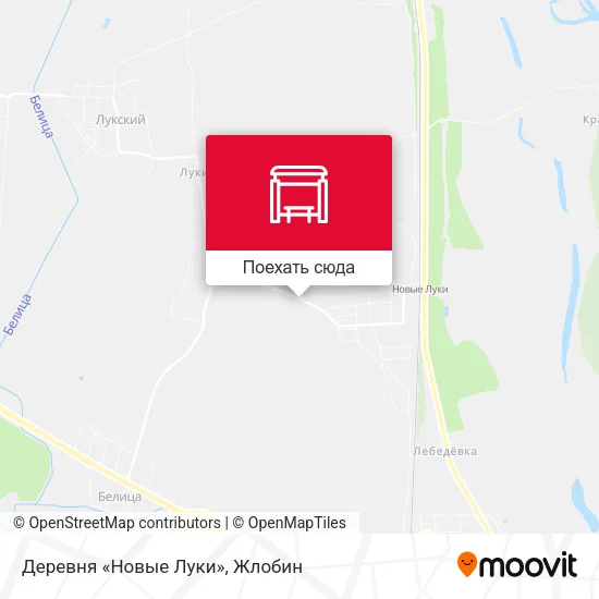 Карта Деревня «Новые Луки»