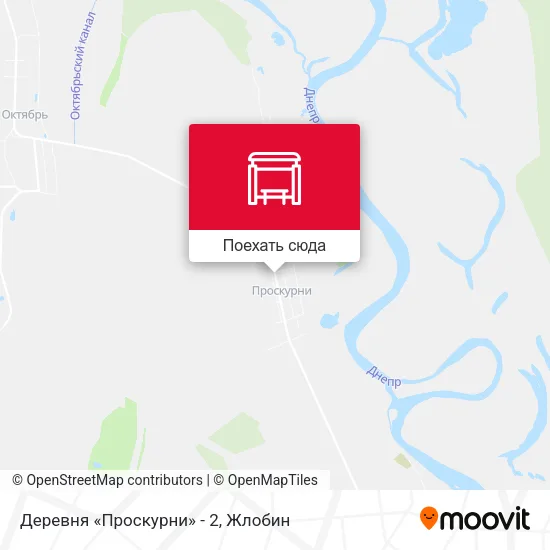 Карта Деревня «Проскурни» - 2